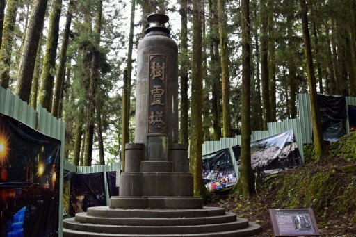 【嘉義縣阿里山鄉】阿里山國家森林遊樂區(彰化,嘉義三日遊之4