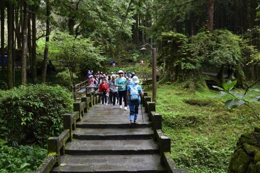 【嘉義縣阿里山鄉】阿里山國家森林遊樂區(彰化,嘉義三日遊之4