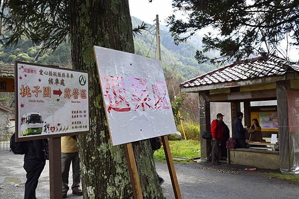 【宜蘭大同鄉;台中市和平區】武陵國家森林遊樂區 (搭國光客運