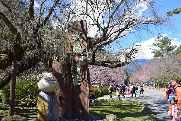 【宜蘭大同鄉;台中市和平區】武陵國家森林遊樂區 (搭國光客運