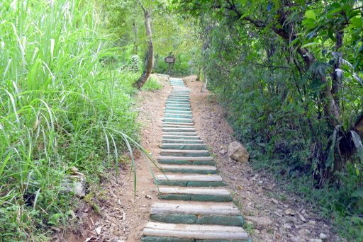 池南國家森林遊樂區 (32).JPG