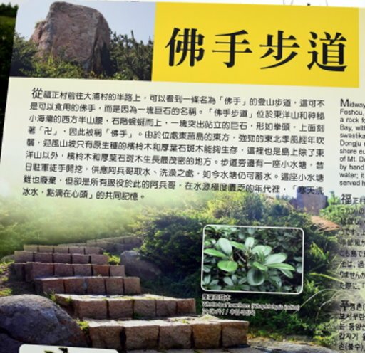 【馬祖東莒】東莒燈塔,福正聚落,大埔石刻 (馬祖列島6日遊之