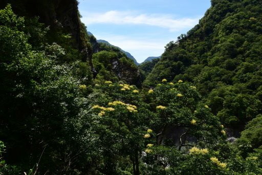 【花蓮縣秀林鄉】白楊步道～水簾洞, 美景令人讚嘆! (花蓮3