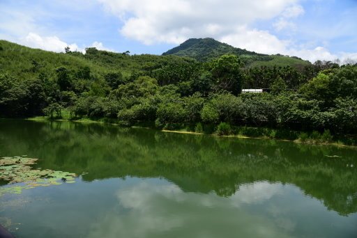 【花蓮縣萬榮鄉】山中秘境-大加汗部落山明水秀碧赫潭,水上聖母