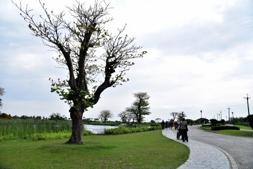 【花蓮縣吉安鄉】超有看頭又免費入園的台開心農場(洄瀾灣開心農