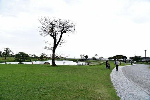 【花蓮縣吉安鄉】超有看頭又免費入園的台開心農場(洄瀾灣開心農