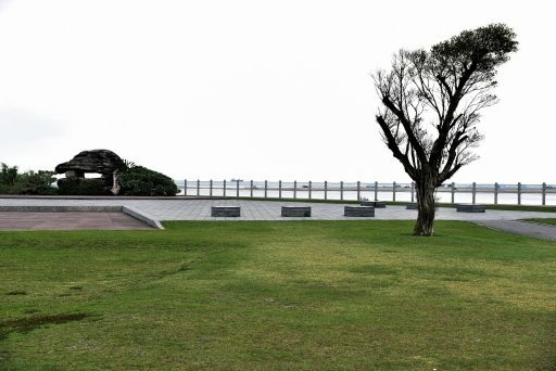 【花蓮縣吉安鄉】超有看頭又免費入園的台開心農場(洄瀾灣開心農