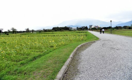 【花蓮縣吉安鄉】超有看頭又免費入園的台開心農場(洄瀾灣開心農