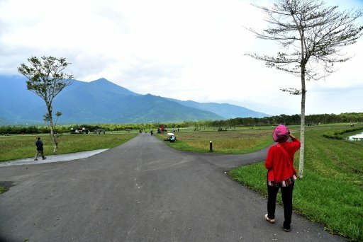 【花蓮縣光復鄉】大農大富平地森林園區 (後港里108年花東三