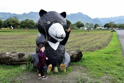 【花蓮縣光復鄉】大農大富平地森林園區 (後港里108年花東三