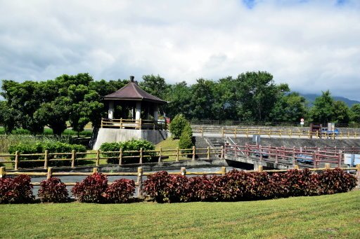 【台東縣池上鄉】翠綠天堂路-伯朗大道 (台東蘭嶼4日遊之13