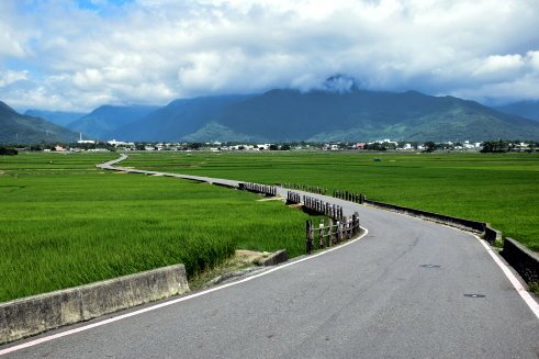 【台東縣池上鄉】翠綠天堂路-伯朗大道 (台東蘭嶼4日遊之13