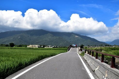 【台東縣池上鄉】翠綠天堂路-伯朗大道 (台東蘭嶼4日遊之13