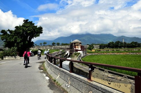 【台東縣池上鄉】翠綠天堂路-伯朗大道 (台東蘭嶼4日遊之13