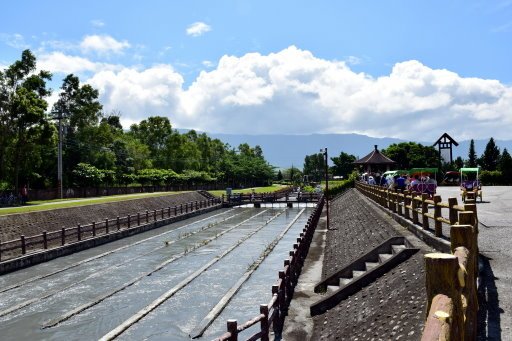 【台東縣池上鄉】翠綠天堂路-伯朗大道 (台東蘭嶼4日遊之13