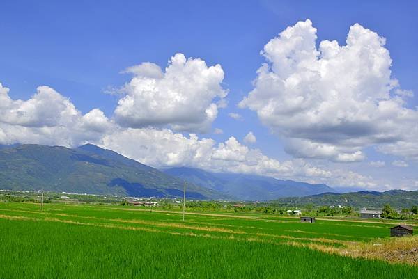 田野風光.JPG