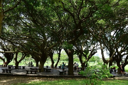 【台北市,新北市】淡水河右岸,大漢溪右岸自行車道(百齡橋~浮