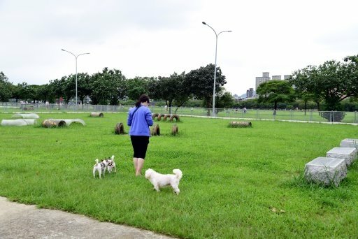 【台北市,新北市】淡水河右岸,大漢溪右岸自行車道(百齡橋~浮