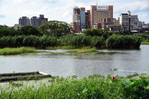 【台北市,新北市】淡水河右岸,大漢溪右岸自行車道(百齡橋~浮