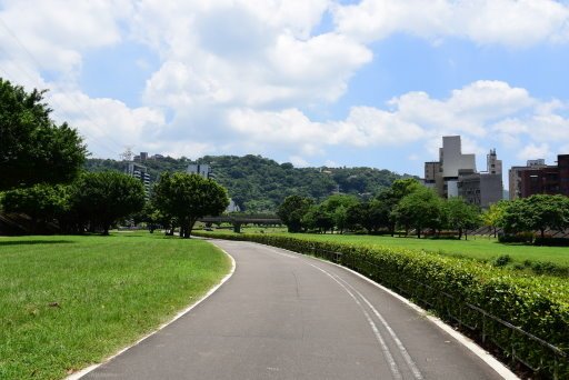 【台北市土林區】雙溪生活水岸自行車道左右岸-阿勃勒大爆開