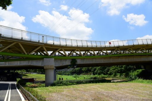 【台北市土林區】雙溪生活水岸自行車道左右岸-阿勃勒大爆開