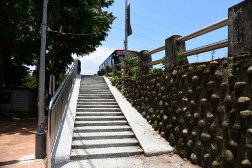 【台北市土林區】雙溪生活水岸自行車道左右岸-阿勃勒大爆開