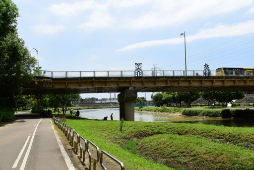 【台北市土林區】雙溪生活水岸自行車道左右岸-阿勃勒大爆開