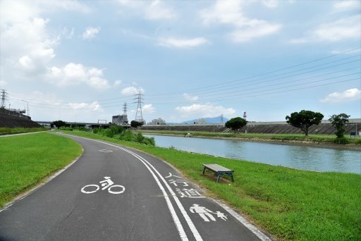 【台北市土林區】雙溪生活水岸自行車道左右岸-阿勃勒大爆開