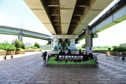 【新北市】板橋蝴蝶公園浪漫地景花海,新店陽光運動公園,碧潭風