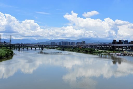 【新北市】板橋蝴蝶公園浪漫地景花海,新店陽光運動公園,碧潭風