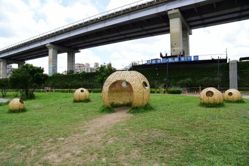 【新北市】板橋蝴蝶公園浪漫地景花海,新店陽光運動公園,碧潭風