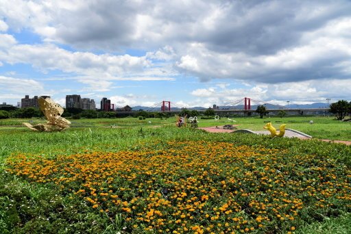 【新北市】板橋蝴蝶公園浪漫地景花海,新店陽光運動公園,碧潭風