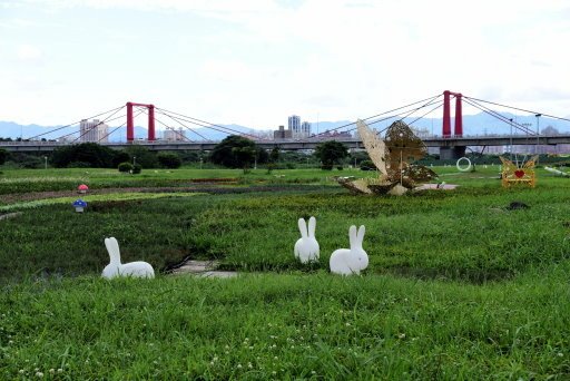 【新北市】板橋蝴蝶公園浪漫地景花海,新店陽光運動公園,碧潭風