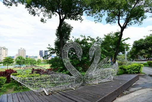 【新北市】板橋蝴蝶公園浪漫地景花海,新店陽光運動公園,碧潭風