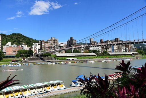 【新北市】板橋蝴蝶公園浪漫地景花海,新店陽光運動公園,碧潭風