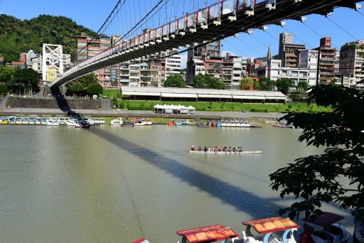 【新北市】板橋蝴蝶公園浪漫地景花海,新店陽光運動公園,碧潭風