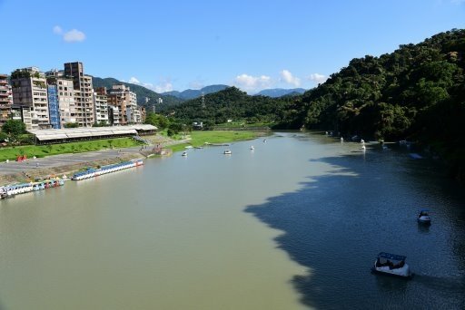 【新北市】板橋蝴蝶公園浪漫地景花海,新店陽光運動公園,碧潭風