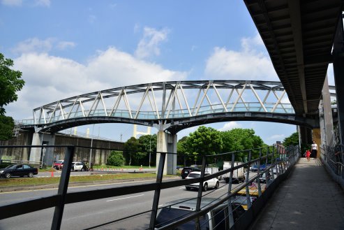 【台北市】古亭蜀葵花海,羅曼蒂克河濱公園婚紗廣場(淡水河右岸