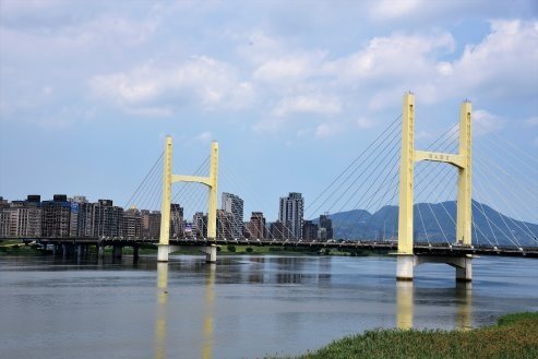 【台北市】古亭蜀葵花海,羅曼蒂克河濱公園婚紗廣場(淡水河右岸