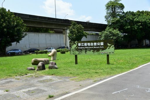 【台北市】古亭蜀葵花海,羅曼蒂克河濱公園婚紗廣場(淡水河右岸