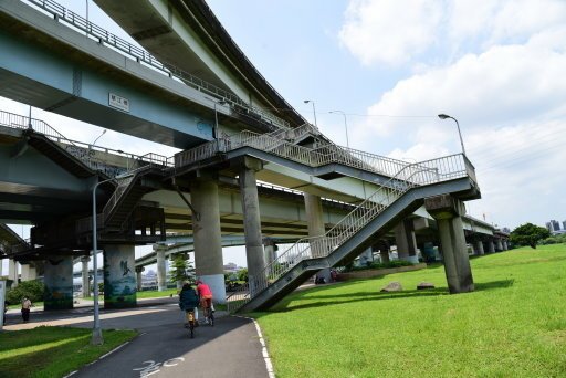 【台北市】古亭蜀葵花海,羅曼蒂克河濱公園婚紗廣場(淡水河右岸