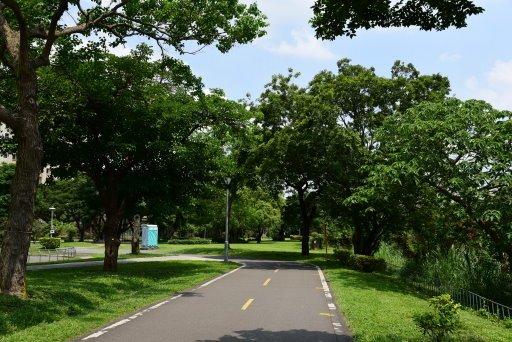 【台北市】古亭蜀葵花海,羅曼蒂克河濱公園婚紗廣場(淡水河右岸