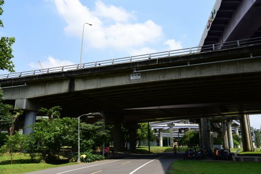 【台北市】古亭蜀葵花海,羅曼蒂克河濱公園婚紗廣場(淡水河右岸