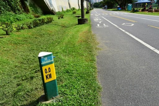 【台北市】古亭蜀葵花海,羅曼蒂克河濱公園婚紗廣場(淡水河右岸