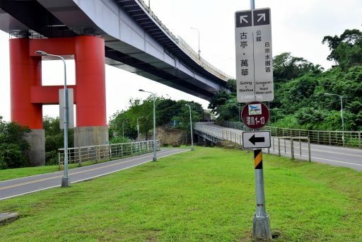 【台北市】古亭蜀葵花海,羅曼蒂克河濱公園婚紗廣場(淡水河右岸