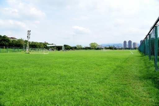 【台北市】古亭蜀葵花海,羅曼蒂克河濱公園婚紗廣場(淡水河右岸