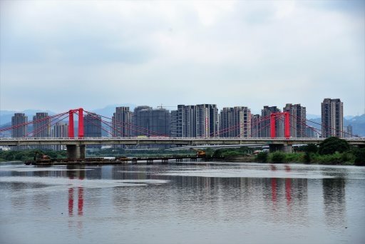 【台北市】古亭蜀葵花海,羅曼蒂克河濱公園婚紗廣場(淡水河右岸