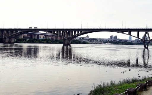 【台北市】古亭蜀葵花海,羅曼蒂克河濱公園婚紗廣場(淡水河右岸