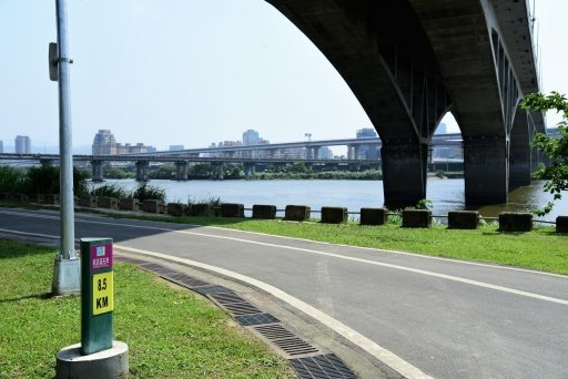 【台北市】古亭蜀葵花海,羅曼蒂克河濱公園婚紗廣場(淡水河右岸