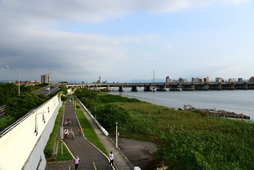 【台北市】古亭蜀葵花海,羅曼蒂克河濱公園婚紗廣場(淡水河右岸